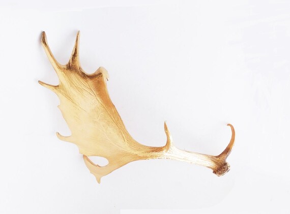 moose antler fake antler resin antler faux taxidermy moose antler fake antler resin antler faux taxidermy
