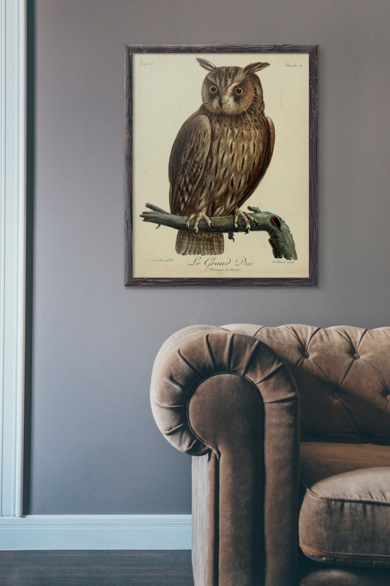 Antique Owl Print Great Horned Owl Decor Owl by TheBlackVinyl