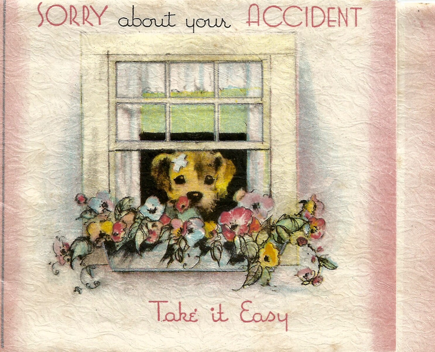 Vintage Sorry About Your Accident get well card dog window