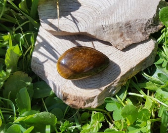 Tigers Eye Teardrop Crystal 21g