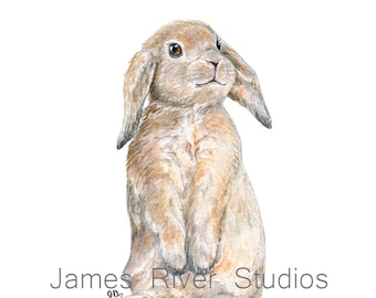 Bunny Painting Bunny Print. Bunny Watercolor Bunny Art Bunny Rabbit Art Rabbit Painting Rabbit Print Bunny Poster Bunny Wall Art Bunny Decor