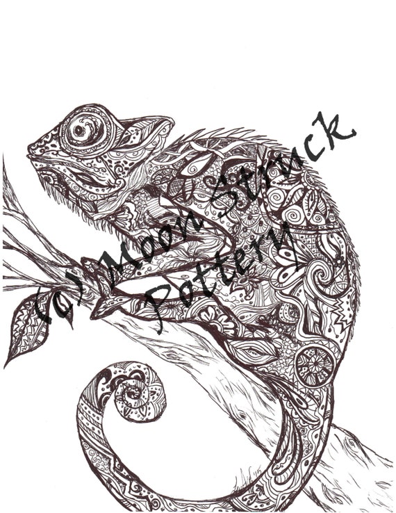 Download Animal Coloring Page Iguana Coloring Page Adult Coloring