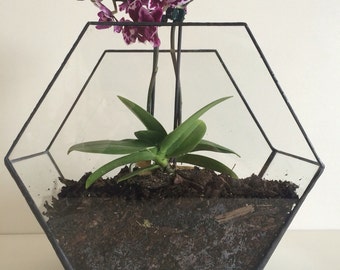 Terrarium, Glass terrarium container, Art Deco style, wedding decoration, candle holder, geometric planter glass hexagon planter,