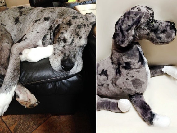 great dane teddy bear