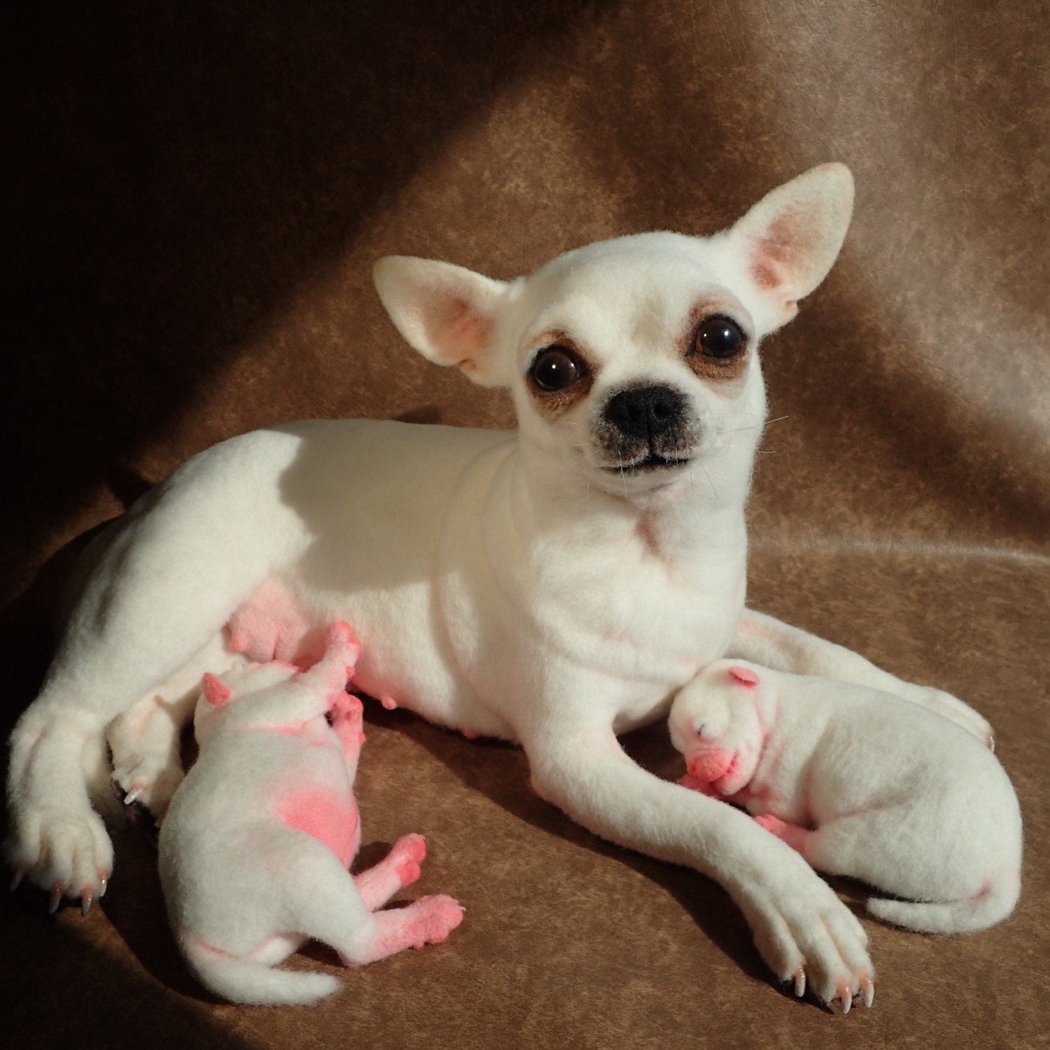 SOLD Realistic White Chihuahua Dog With 2 by ARTbyLiubov on Etsy