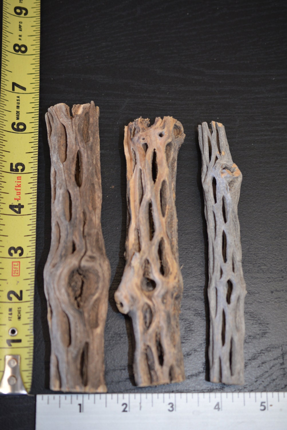CHOLLA WOOD 3 Cholla Wood by AQUATICBLENDEDFOODS on Etsy