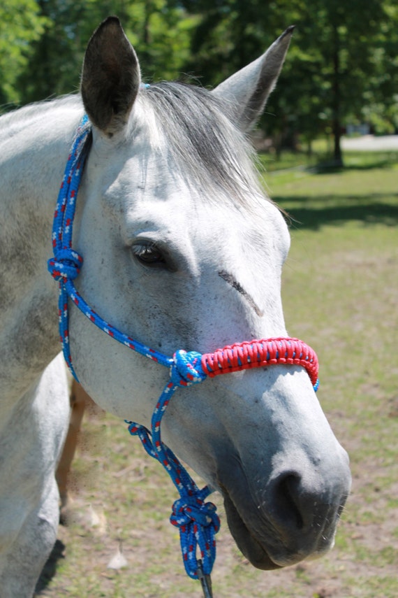 Blue 1 Soft Rope Horse Halter by HaltersFurHorses on Etsy