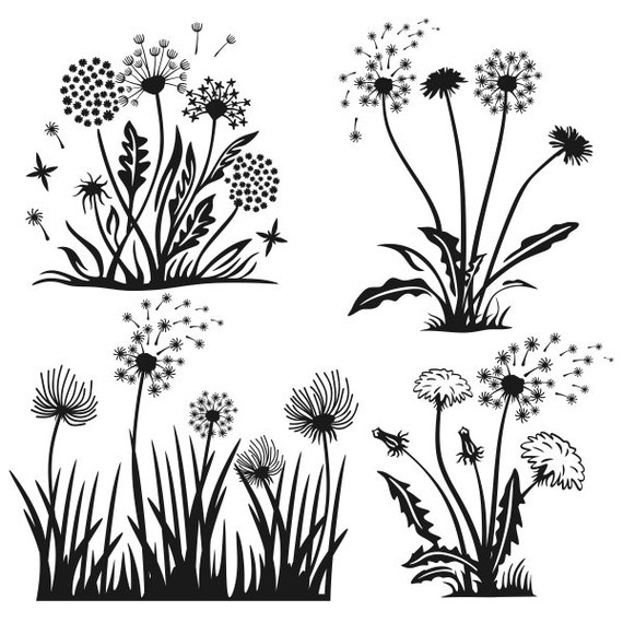 Download Dandelions Flower Spring Cuttable Designs SVG DXF EPS use