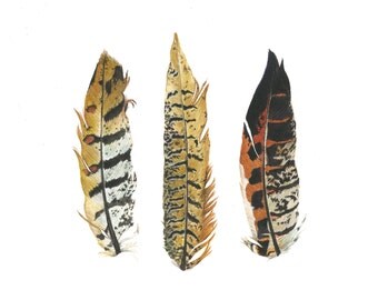 Feather Watercolor Print - Speckles and Stripes
