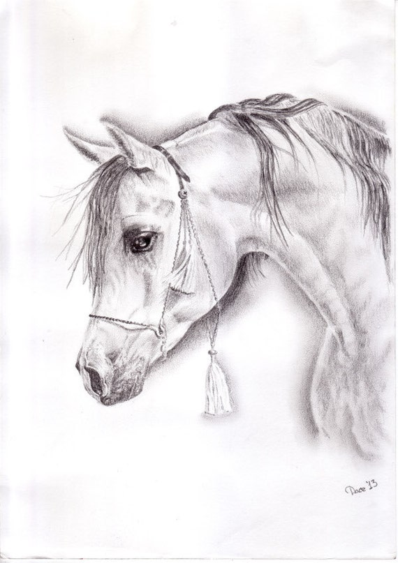 Horse portraitOriginalGraphite pencil drawingHorse
