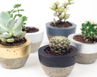 Concrete Pot – Colour Block Planter – Concrete Plant Pot –Copper planter – Indoor Pots – housewarming gift – copper decor