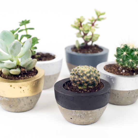 Mini Colour Block Concrete Pot.