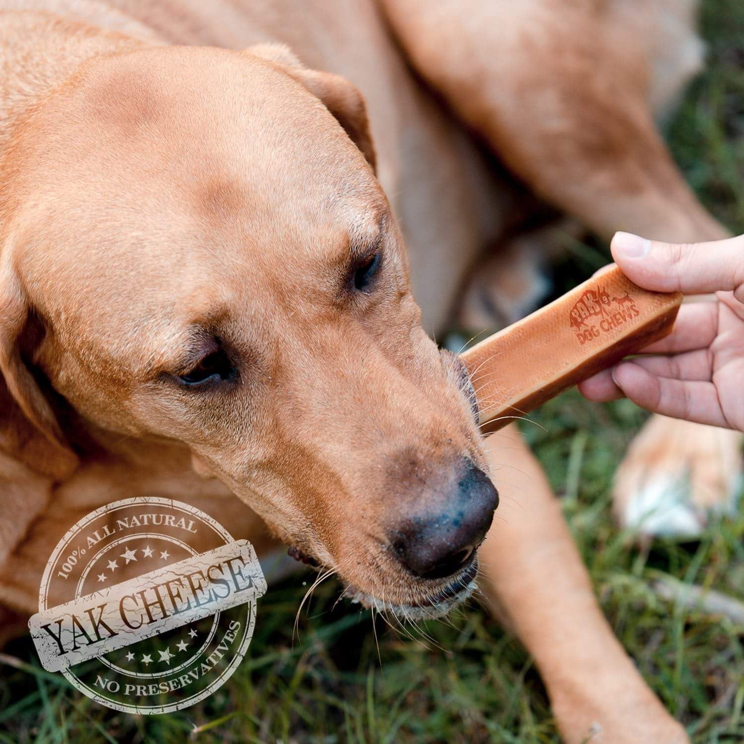 all-natural-dog-chews-by-yak9chews-on-etsy