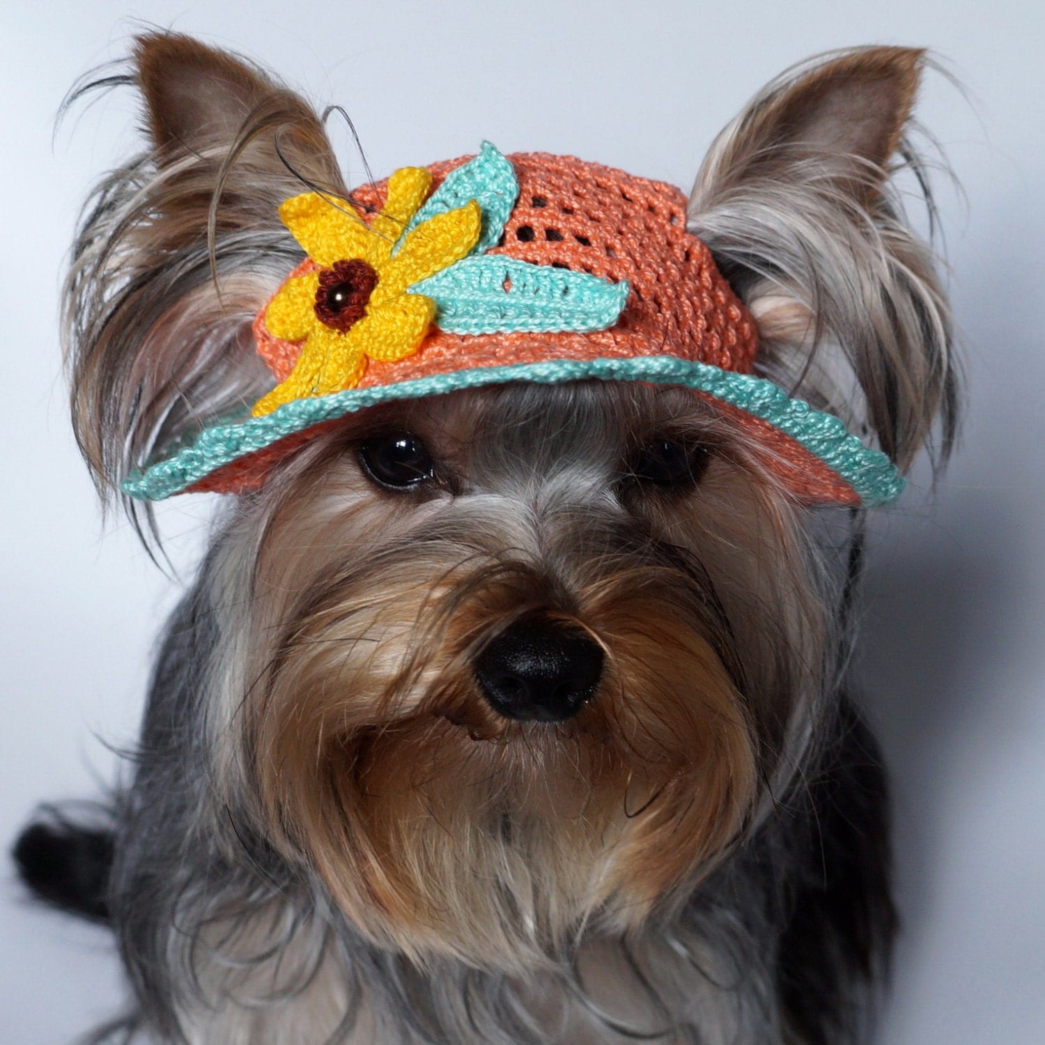 dog hats for small dogs