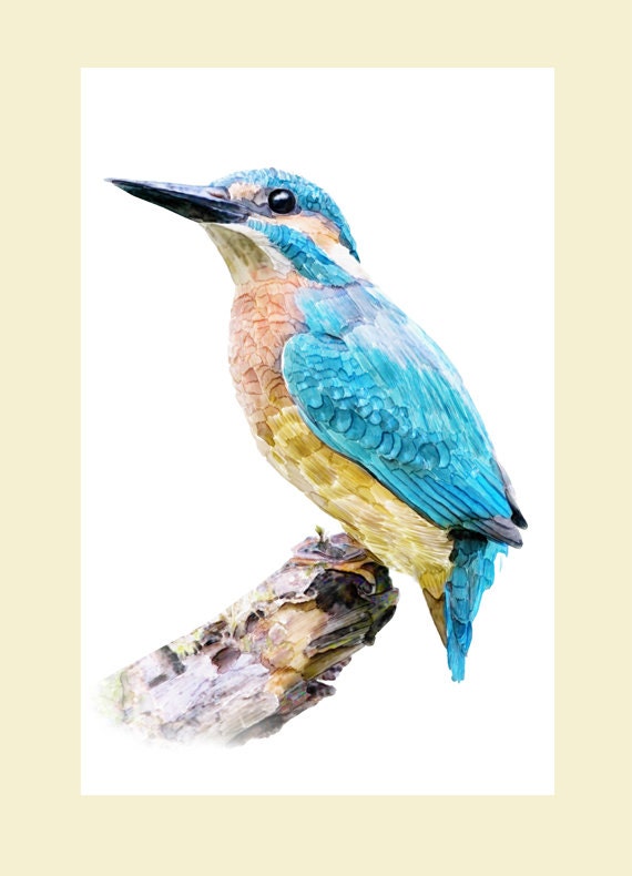Kingfisher Kingfisher Wall Art Kingfisher by MoonlakeStudio