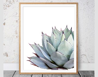 Cactus Print, Succulent Print, Cacti Print, Cactus, Botanical Print, Cactus Art, Coastal, Wall Art, Poster, Prints, Cactus Photography, #108