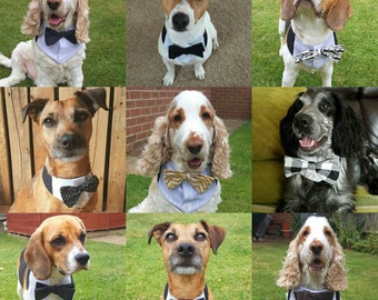 Dog wedding bandana. Dog costume. Dog bow tie. Dog Outfit. Dog bandana. Dog collar. Dog Wedding Attire. Dog tuxedo. Custom Dog Collar