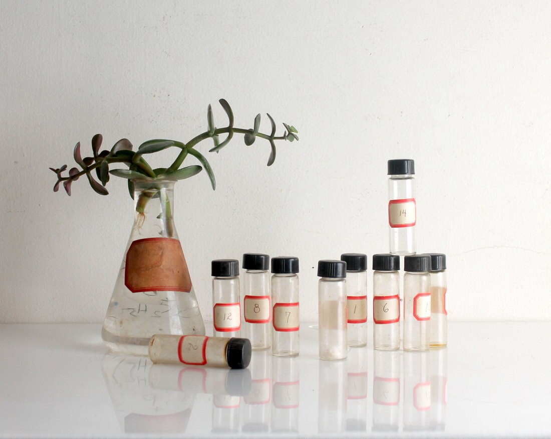 Vintage Lab Bottles Geek Science Lab Bud Vase by shavingkitvintage