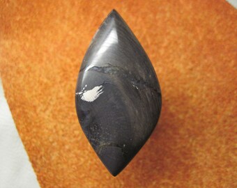 Petrified wood freeform cabochon