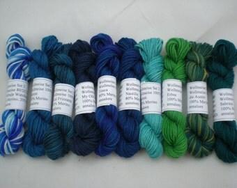 Mini Skeins - Wollmeise Pure and Twin 6g set of 10 (set 2)