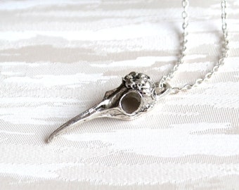 Bird skull necklace Layered necklace Roven head necklace Gothic bird jewelry Taxidermy Bird Layering jewelry Crow necklace Bohemian necklace