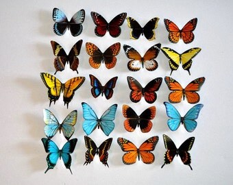 3D Butterfly Magnets Insects Refrigerator Magnets Set of 20 Handmade Home Decor Gifts