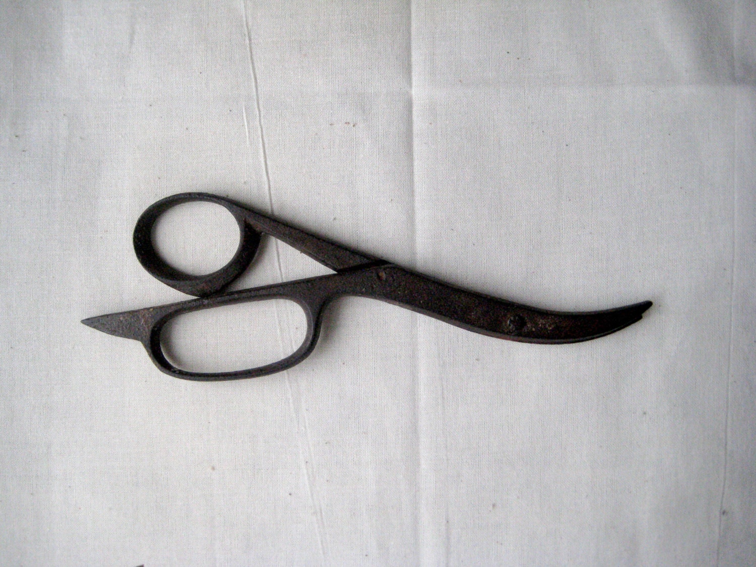 Antique Scissors surgery scissors medical tools Vintage