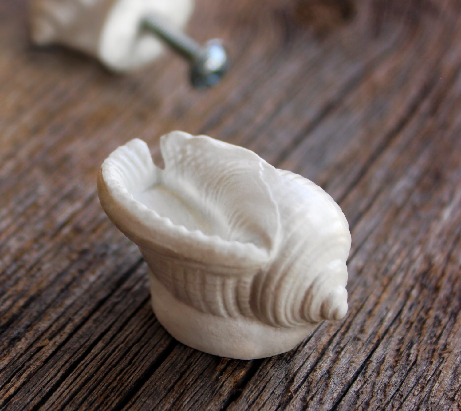 Beach house decorative knobs knobs drawer knobs