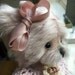Sally Toone