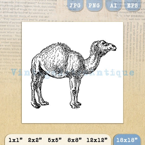 Camel Printable Image Graphic Download by VintageRetroAntique