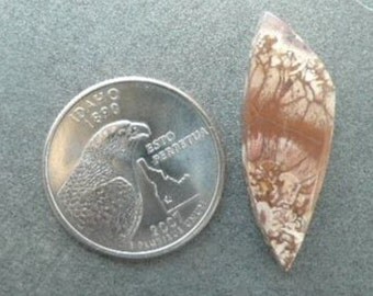 Idaho Spider Web Jasper Cabochon SPWJ1