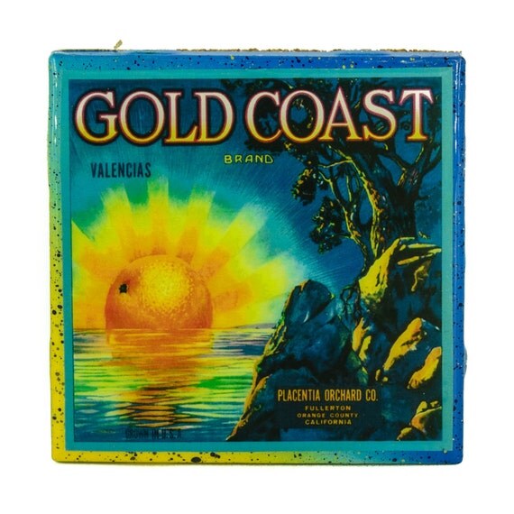 astelladivina Gold Coast Brand Vintage Citrus Crate Label
