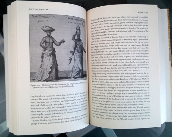 The Diligent A Voyage Through the Worlds Of The Slave Trade
