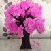 blossombailey