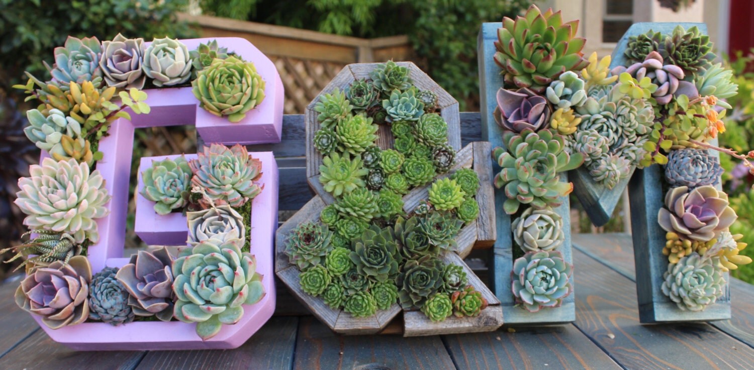 Succulent Letter Planter AZ Monogram Vertical Garden