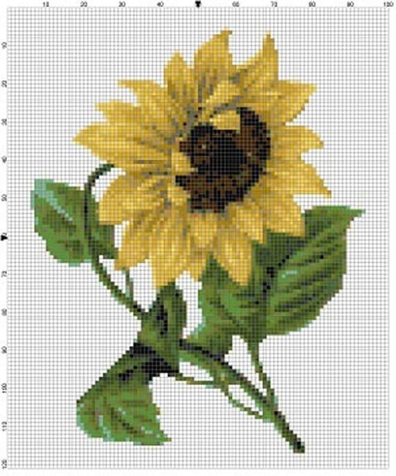 Two Sunflowers Vintage Cross Stitch Patterns Instant