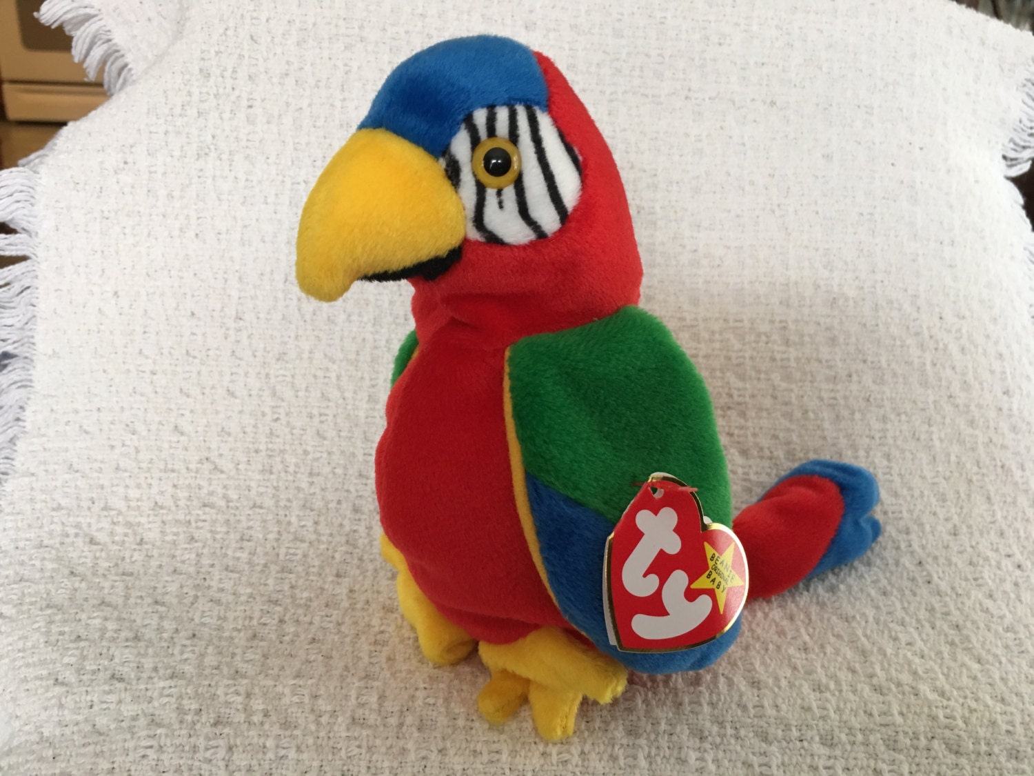 ty beanie parrot