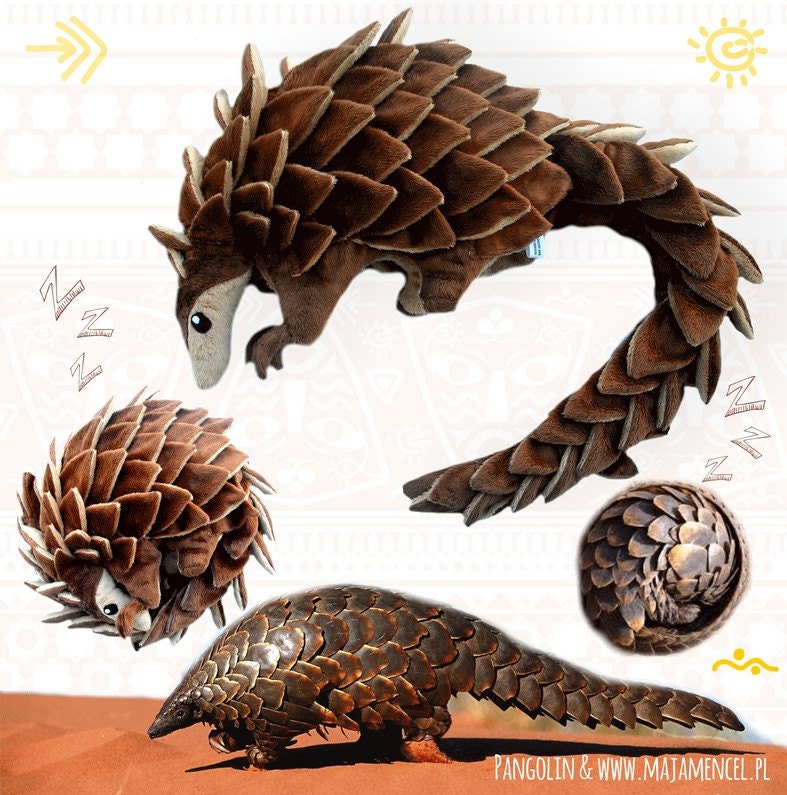 pangolin plush toy