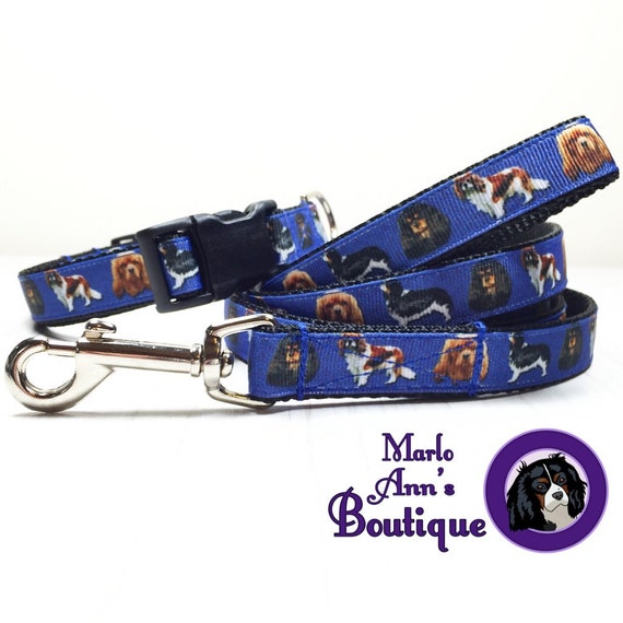Cavalier King Charles Spaniel Adjustable Dog Collar Dog