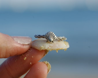 Twisted Shell Ring - Ocean Jewellery by Sophie Jade Jewellery