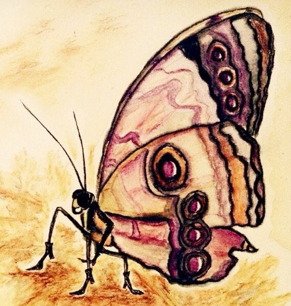 Really Creepy Butterfly