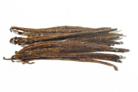 Mexican Vanilla Beans Extract Grade 25 G By VoladoresVanilla