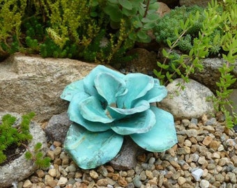 Copper Beach Rose