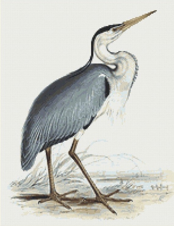 Heron Counted Cross Stitch Pattern John Gould by NeedleAndFloss