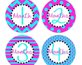 Monthly Baby Stickers Girl / Baby Monthly Sticker Girl / Baby Month Sticker / Baby Stickers Month / Month by Month Stickers / Belly Stickers