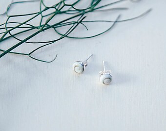 Shiva Eye earrings, shiva eye shell earrings, white stud earrings, sterling silver stud earrings, gift for women, womens gift, birthday gift