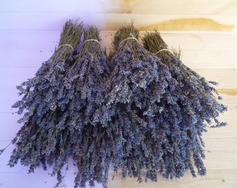 Dried Lavender Flowers, Dried Lavender Bunch 130 stems, Dried lavender, Dry English Lavender, Purple dried decor, Lavender wedding,Preserved