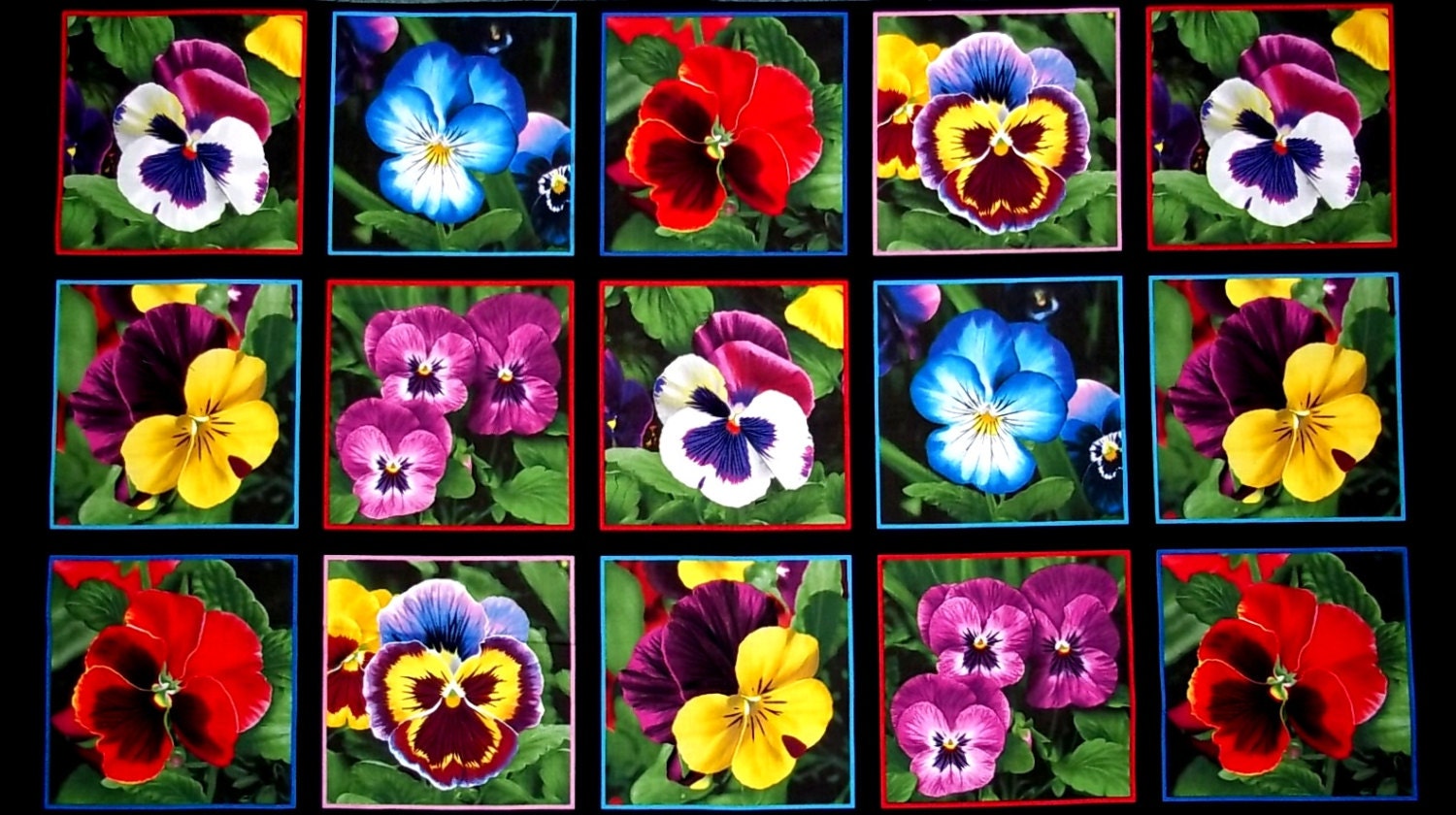 Lovely Pansy Pansies Fabric Panel Quilt Blocks Elizabeths