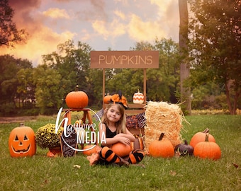Baby, Toddler, Child, Pumpkin Wooden Stand Booth Digital Backdrop for Halloween or Fall Nature Photo Background - Outside Holiday Idea