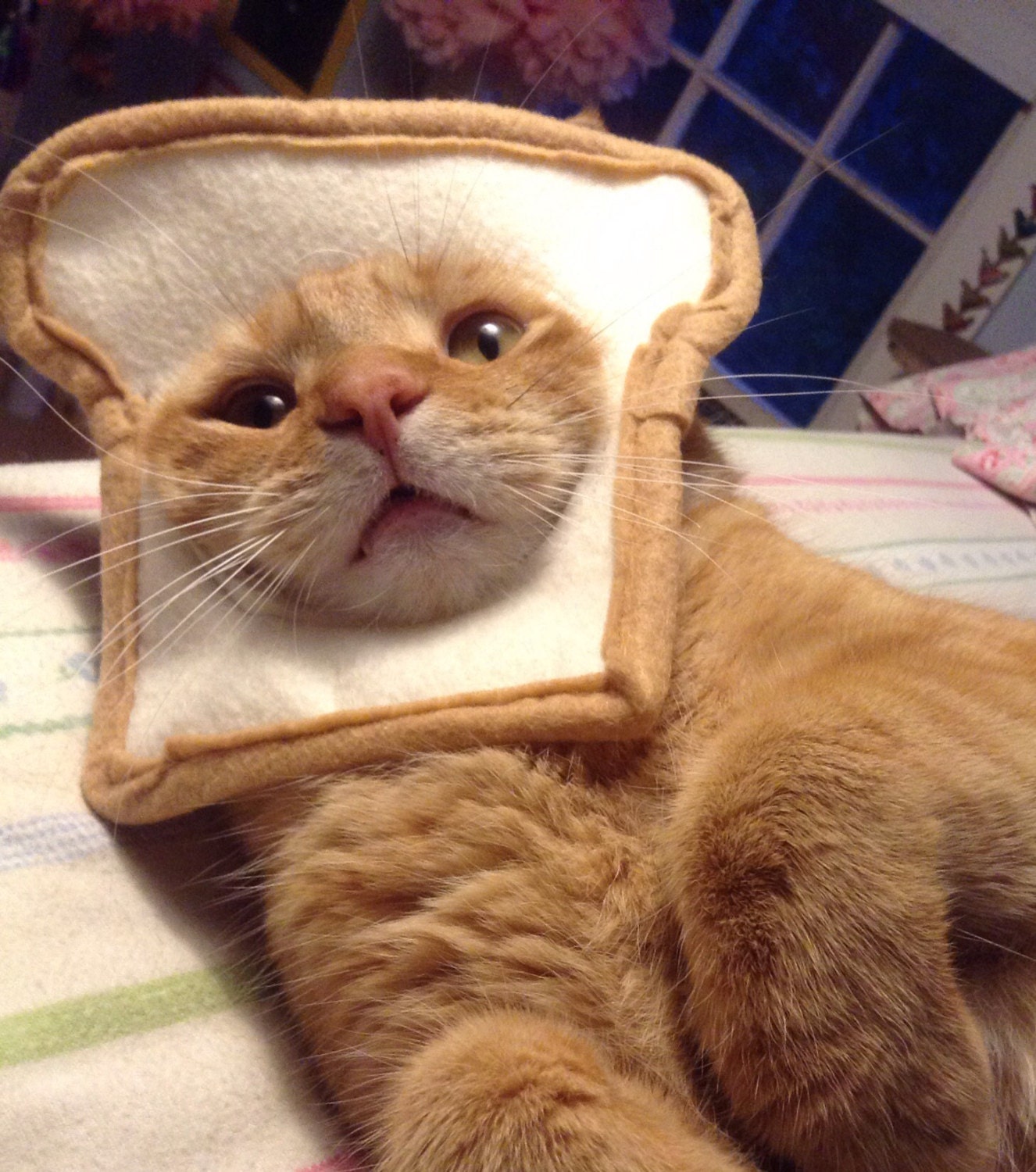 Bread your Cat Costume for Cats by MissMaddyMakes on Etsy